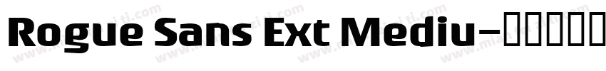 Rogue Sans Ext Mediu字体转换